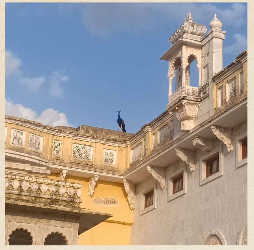 Architectural details at Ghanerao