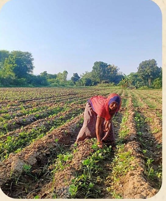 Organic Farm Visit